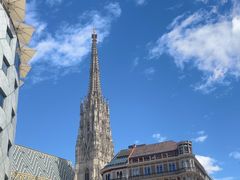 -斯蒂芬主教座堂(Stephansdom)