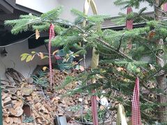 -三鹰之森吉卜力美术馆