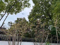 -秋霞圃