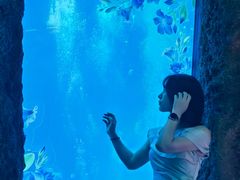 -南昌融创海世界