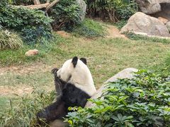 -香港海洋公园