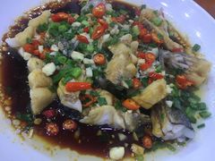 -全乐鱼馆·淳牌有机鱼直营店