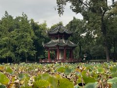 -房湖公园