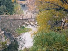 -泰山风景名胜区-虎山公园
