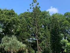 -人民公园(罗湖区)