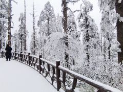 -瓦屋山景区