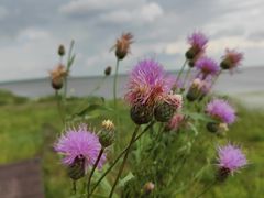-呼和诺尔旅游景区