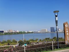 -立新湖公园