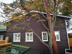 -三鹰之森吉卜力美术馆