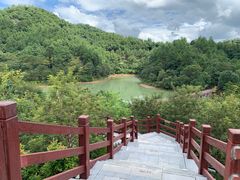 -广州白江湖森林公园