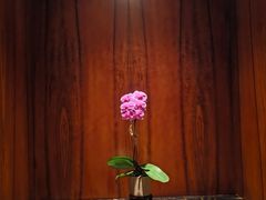 -宁波香格里拉大酒店