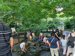 -成都市活水公园