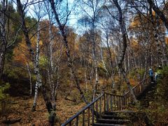 -苏木山森林公园