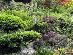 -南山植物园