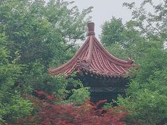-大连植物园