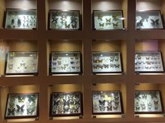 -陕西自然博物馆