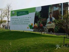 -上海多利农业发展有限公司