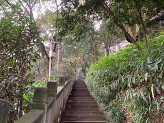 -重庆平顶山公园