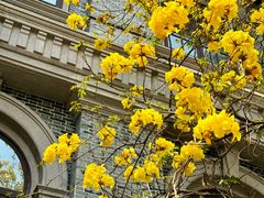 -四川大学(华西校区)