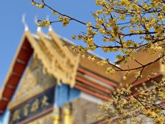-报恩禅寺