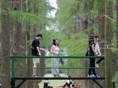 -渌洋湖湿地公园