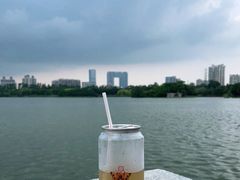 -海珠湖公园