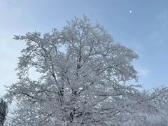 -太子岭滑雪场
