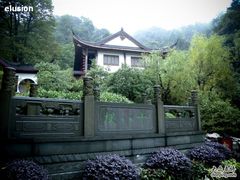 -十八棵（老龙井）御茶园(老龙井店)