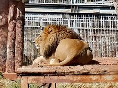 -昆明动物园