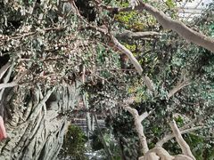 -龙达温泉生态城