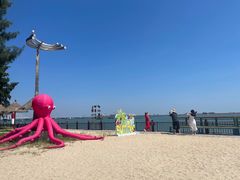 -北海金海湾红树林生态旅游区