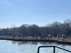 -溱湖国家湿地公园