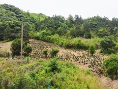 -水墨汀溪风景区