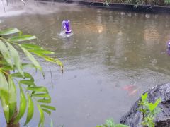 -观宴·品质赣菜(高新大道店)