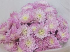 -蓝壁虎咖啡酒馆