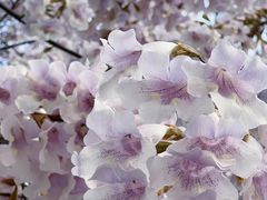 -红星桥(地铁站)