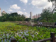-迎泽公园
