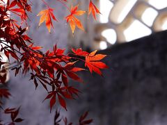 -拙政园
