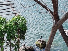 -南诏风情岛