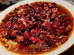 -初蓉丨遇见新川菜(亲贤街荣耀店)