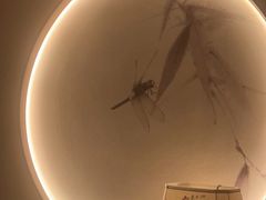 -金凤凰健康养生·足疗·推拿·SPA(横岗店)