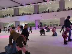 -TheRink大零溜冰场(IFS国金中心店)
