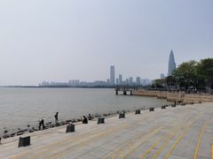 -深圳湾公园(南山区)