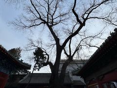 -贤良祠