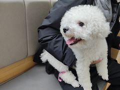 -美联众合动物医院·24h转诊中心