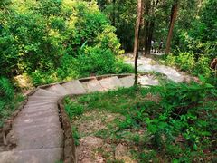 -火炉山森林公园