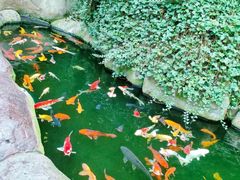 -大连老虎滩海洋公园