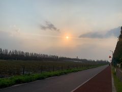 -上海长兴岛郊野公园