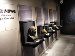 -北京周口店北京人遗址博物馆