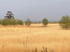 -野鸭湖国家湿地公园